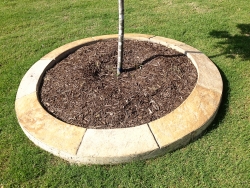 Stone-lined tree bed